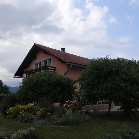 Guesthouse Blazenka Hodak 塞里特雷尼科 外观 照片