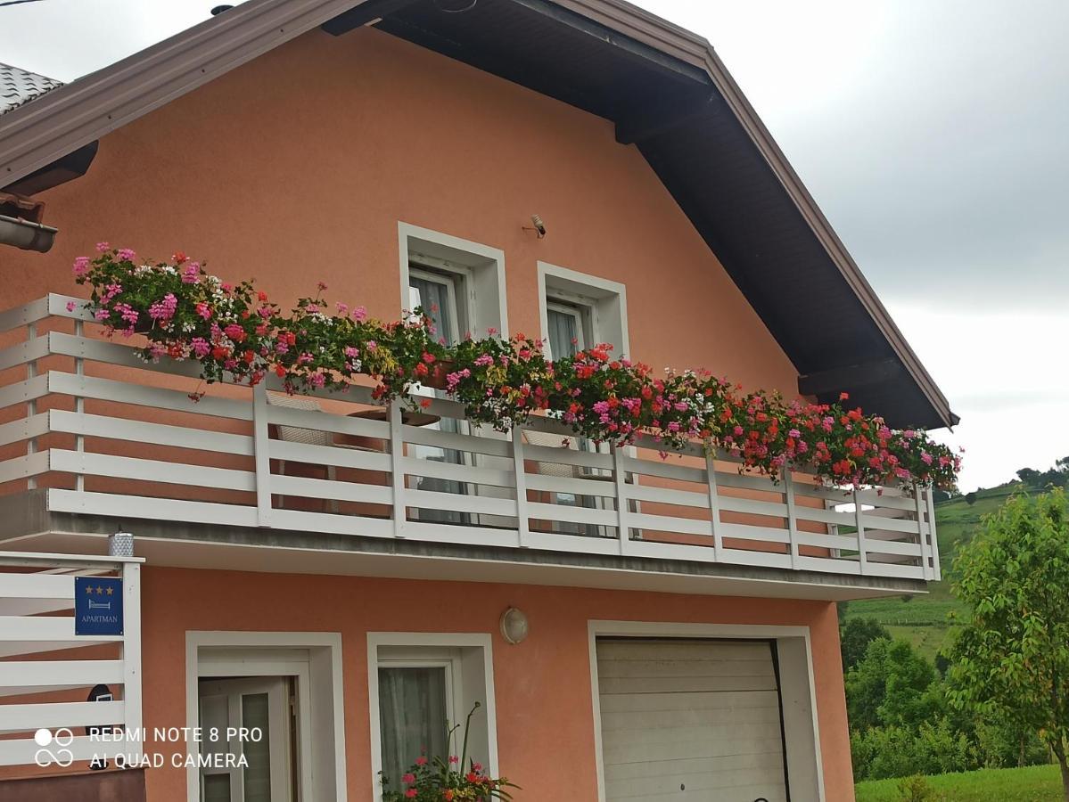 Guesthouse Blazenka Hodak 塞里特雷尼科 外观 照片