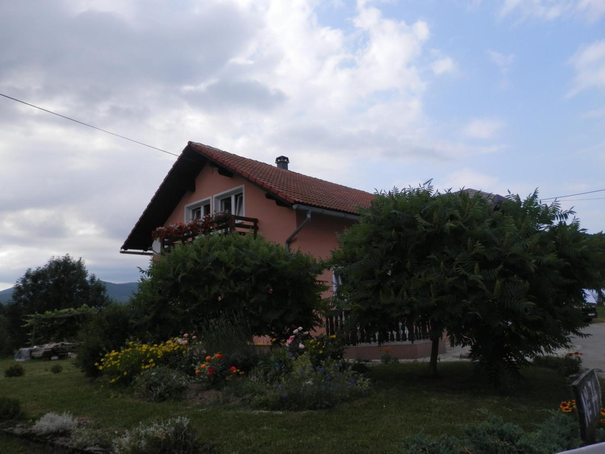 Guesthouse Blazenka Hodak 塞里特雷尼科 外观 照片