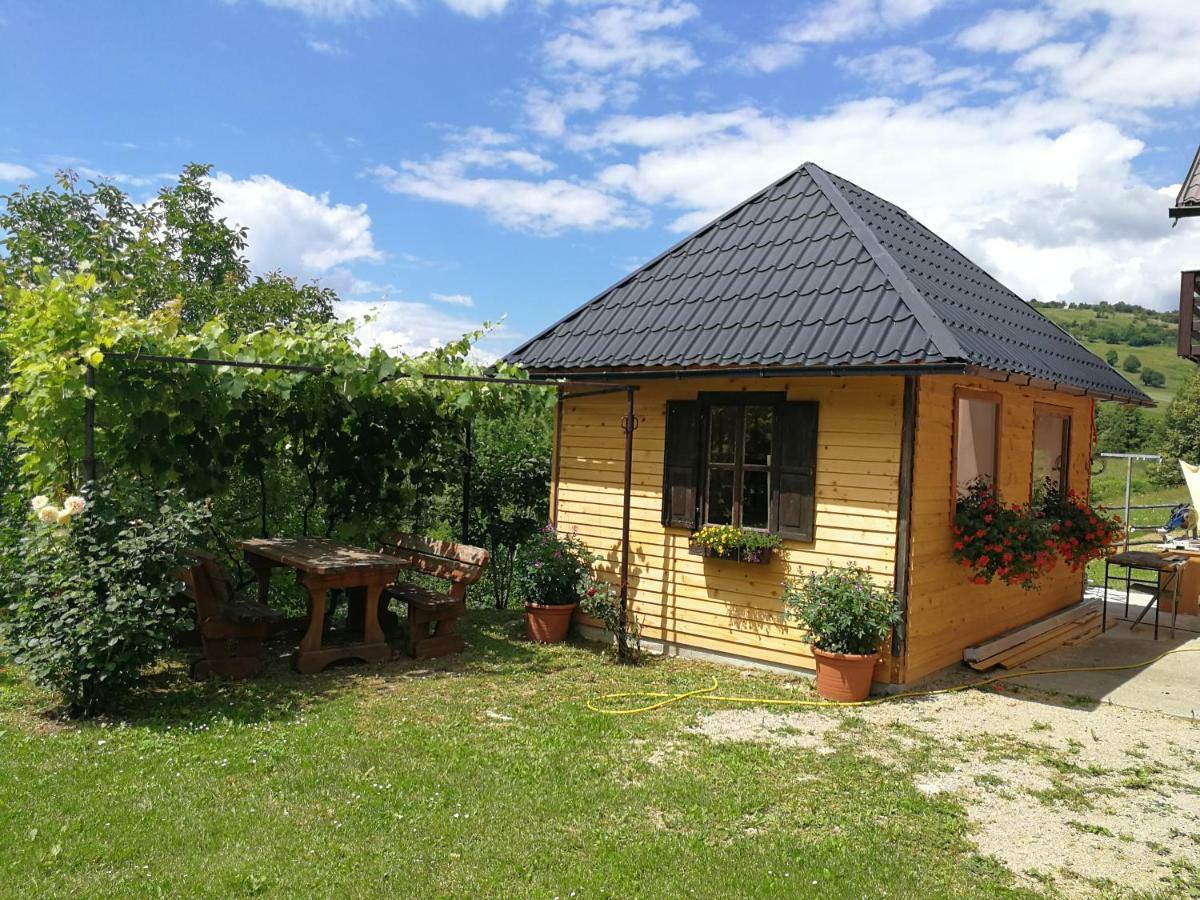 Guesthouse Blazenka Hodak 塞里特雷尼科 外观 照片
