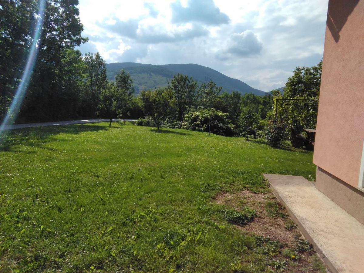 Guesthouse Blazenka Hodak 塞里特雷尼科 外观 照片