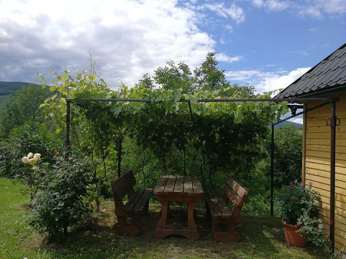 Guesthouse Blazenka Hodak 塞里特雷尼科 外观 照片