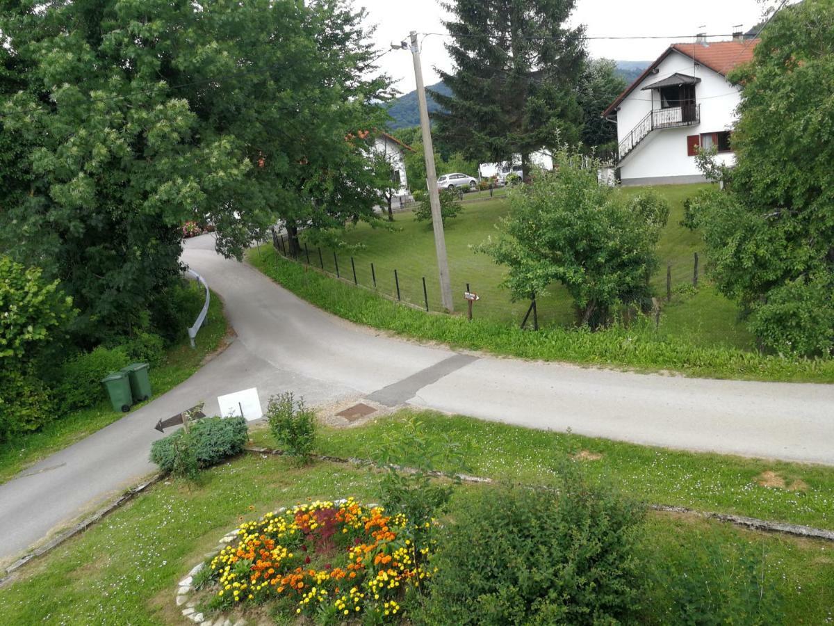 Guesthouse Blazenka Hodak 塞里特雷尼科 外观 照片